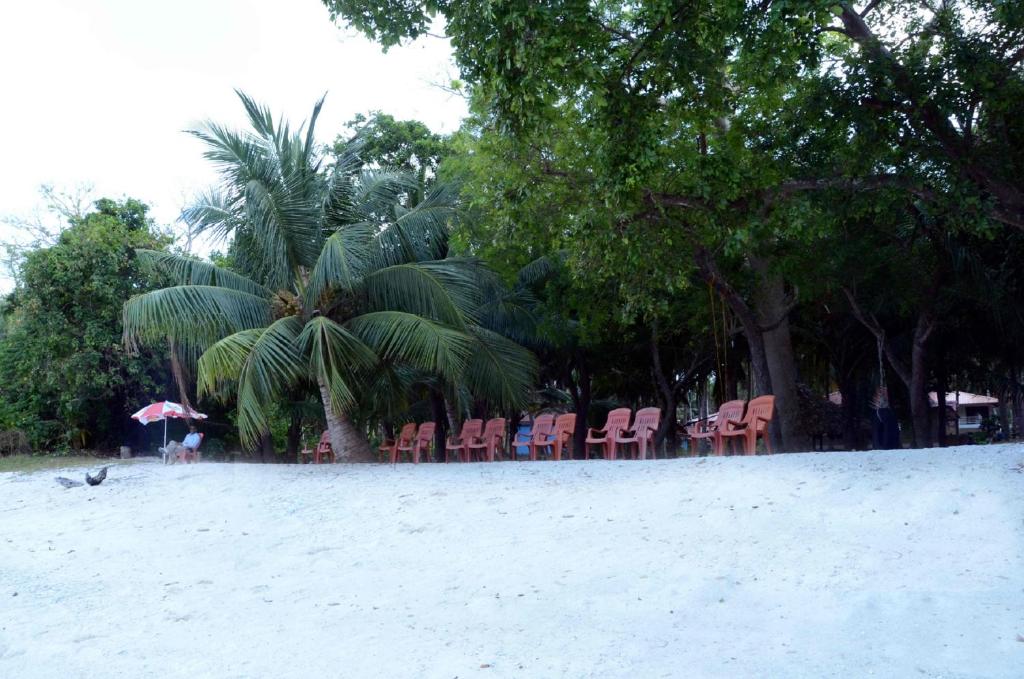 a group of chairs and trees on a beach at Coconhuts Beach Resort in Neil Island
