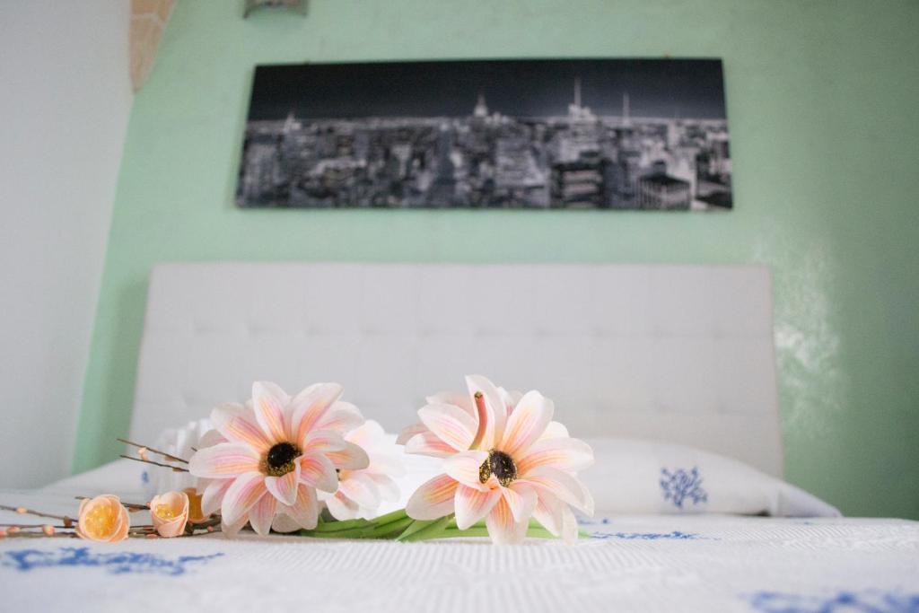 eine Gruppe Blumen auf einem Bett in der Unterkunft B&B Stella Polare in Porto Cesareo