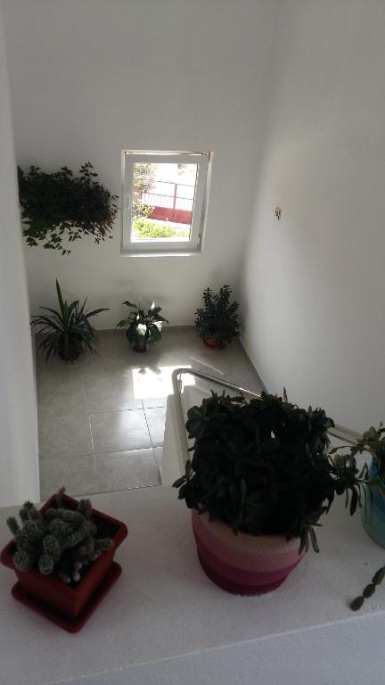 Fotografie z fotogalerie ubytování Apartment Hramina v Murteru