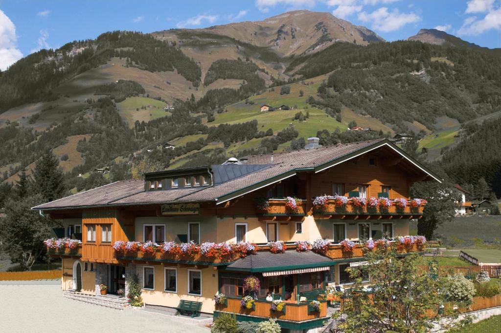 ein Haus in den Bergen mit Blumen drauf in der Unterkunft Landhaus MONTANA in Rauris