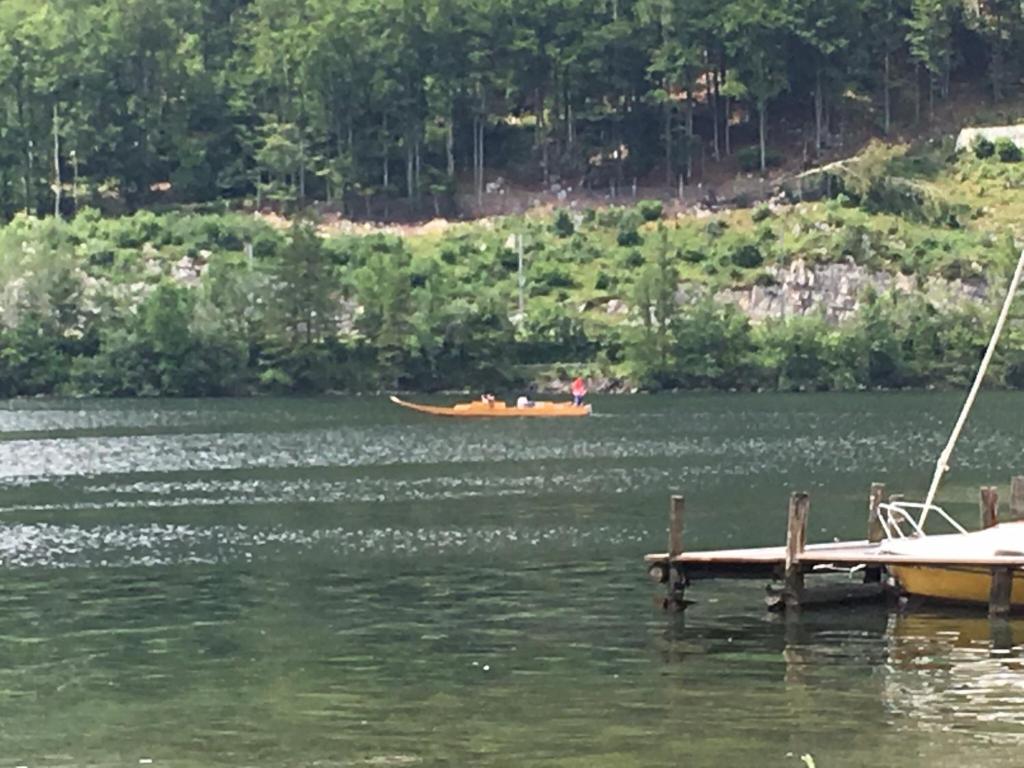 Alpine Appartments Ausseerland - 10