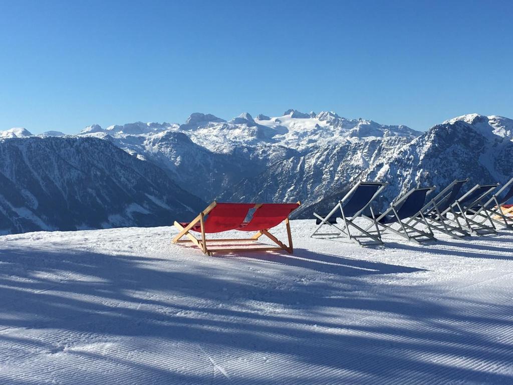 Alpine Appartments Ausseerland - 19