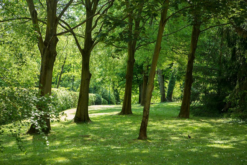 A garden outside Residenze Bellaria Park "Riverside"
