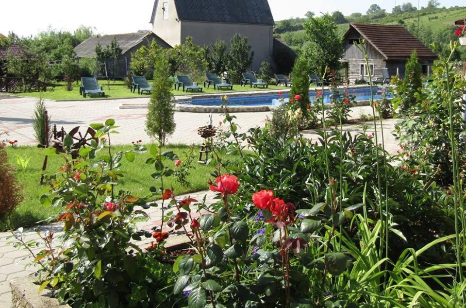 Zahrada ubytování Giandra Resort