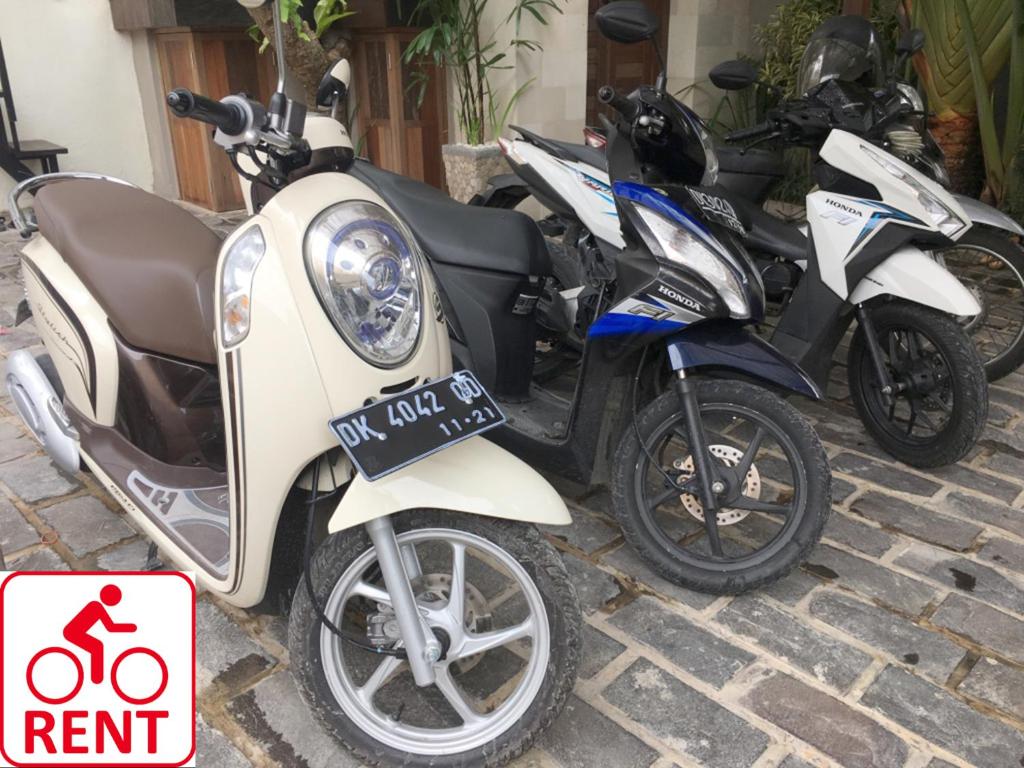 Exotica Bali Villa - Adults Only - 14