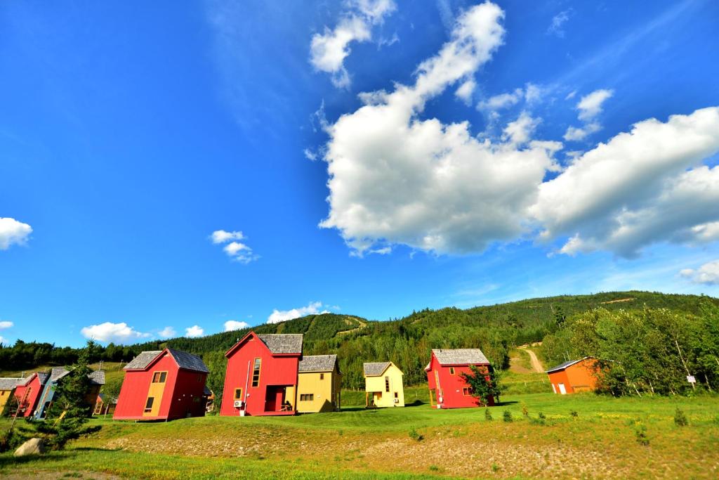 a group of houses in a field on a hill at Station touristique Pin Rouge in New Richmond