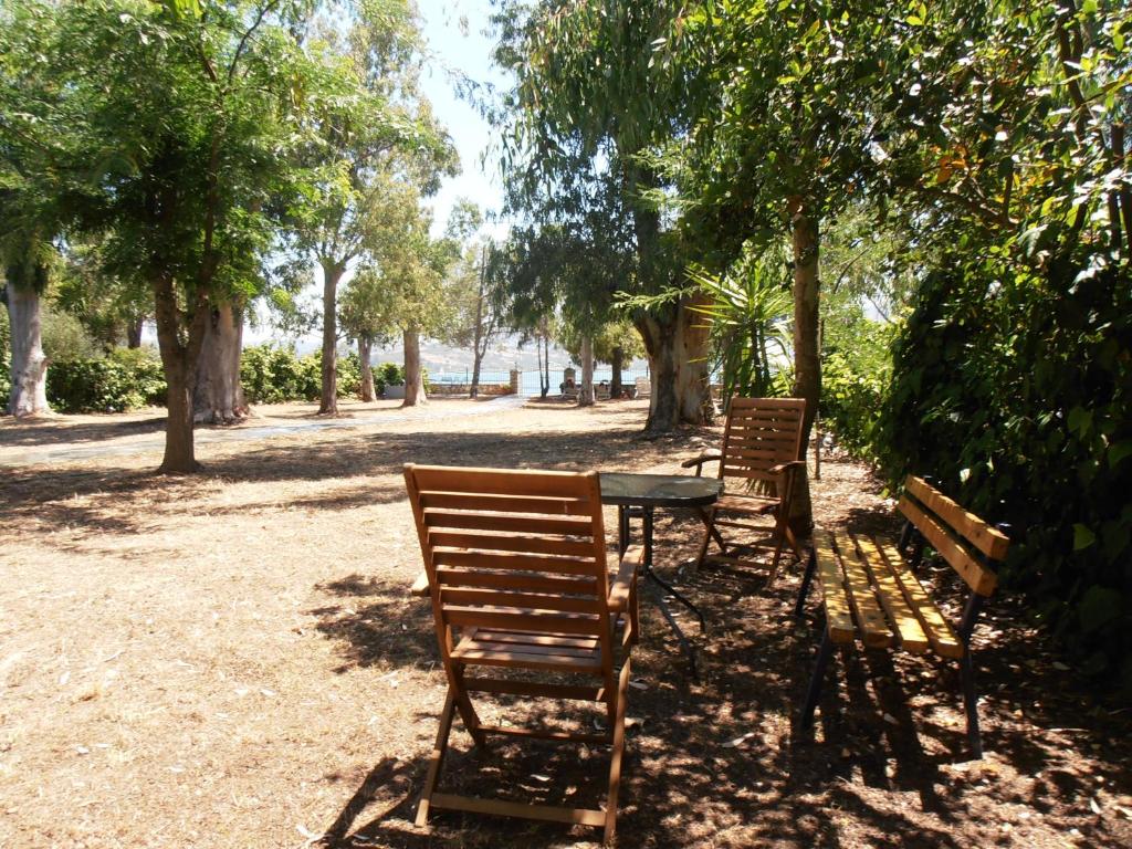 2 Stühle und ein Tisch in einem Park mit Bäumen in der Unterkunft Ormos Drepanou Apartments in Lygia