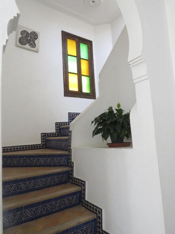 a stairway with a potted plant and a window at Riad Arous Chamel in Tangier