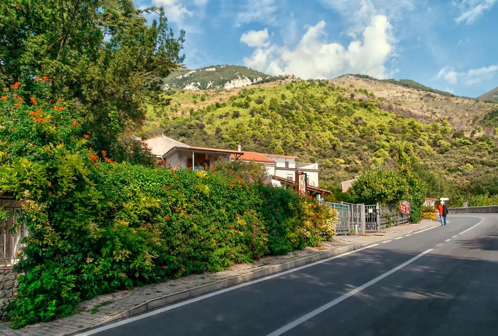 Nespecifikovaný výhled na hory nebo výhled na hory při pohledu z bed and breakfast