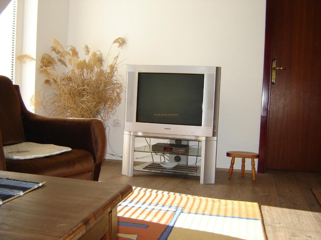 TV a/nebo společenská místnost v ubytování Apartments Beljić