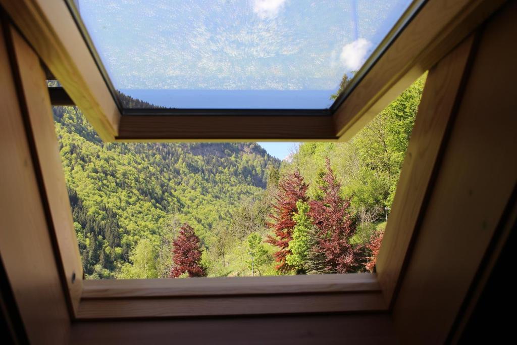 Príroda v okolí of the bed and breakfast