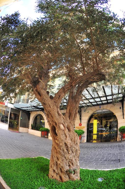 Fotografie z fotogalerie ubytování Lancaster Raouche Hotel v destinaci Bejrút