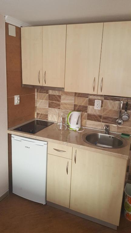 Kuchyň nebo kuchyňský kout v ubytování Apartments Bellavista