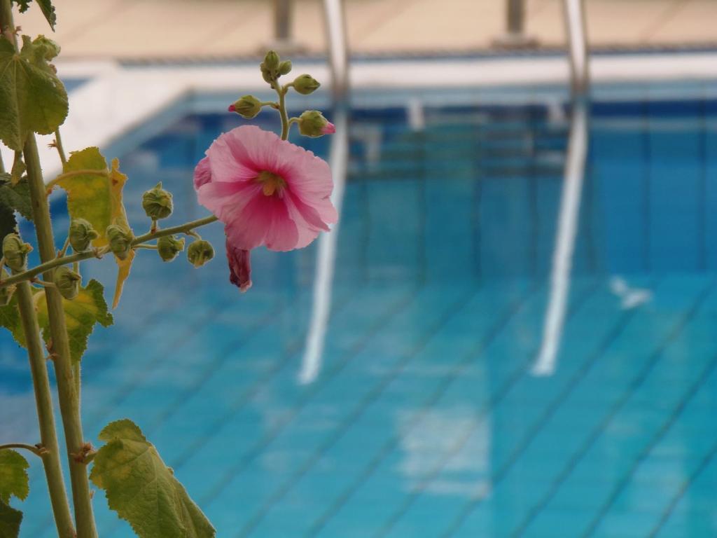Bazén v ubytování Emerald Hotel nebo v jeho okolí