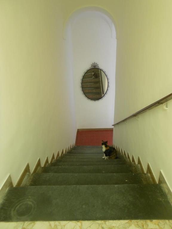 Fotografie z fotogalerie ubytování B&B Stella v destinaci Vico Equense