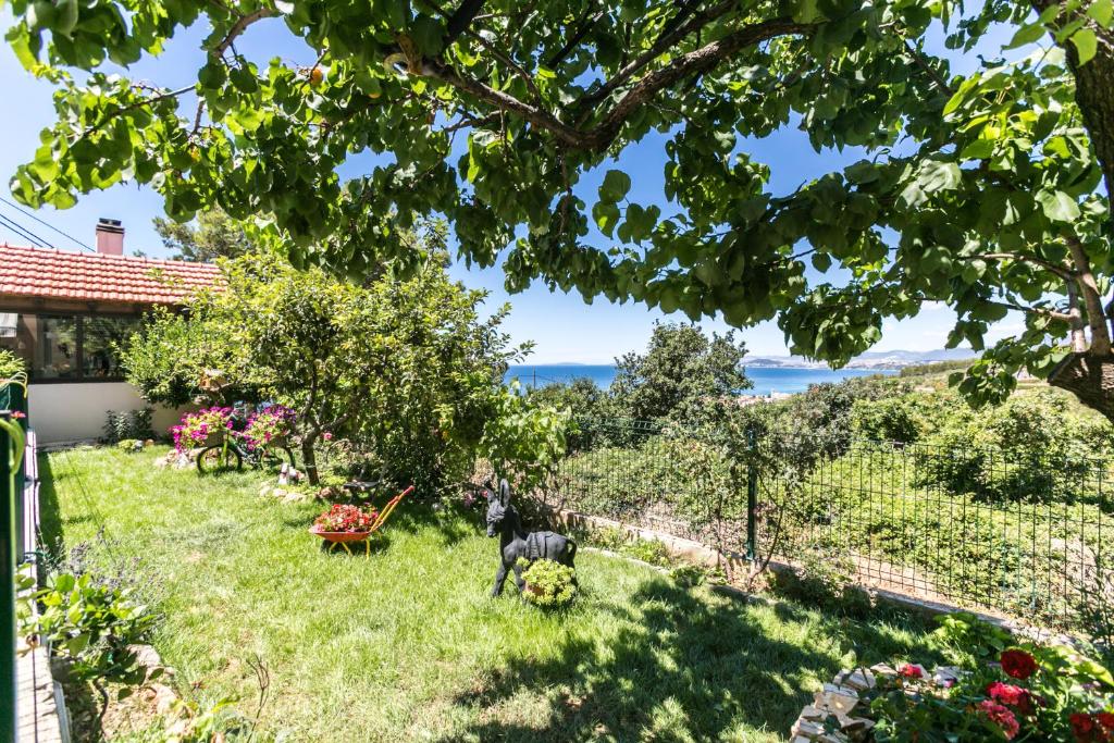 - un jardin avec vue sur l'océan dans l'établissement Apartment Libero, à Podstrana