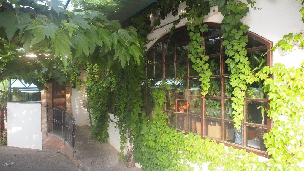 Vonkajšia záhrada v ubytovaní Hostal Miryam