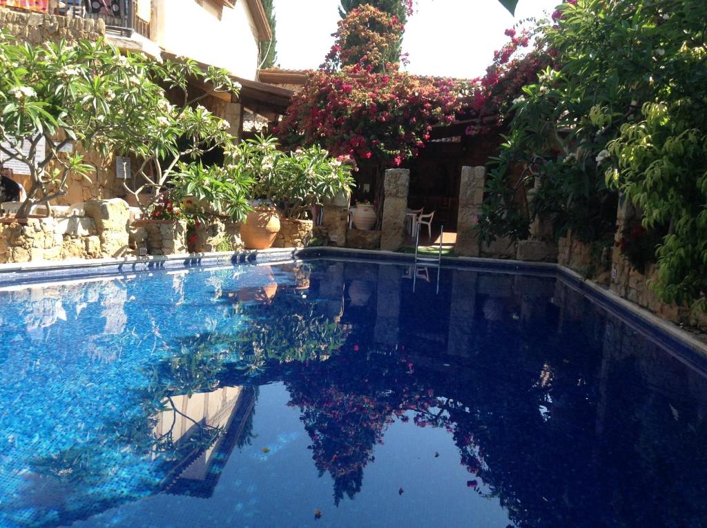 a swimming pool with blue water and potted plants at Roman Boutique Hotel in Paphos