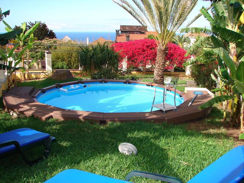 einen Pool in einem Garten mit Palmen in der Unterkunft Private Pool Apt. with Great View in Funchal
