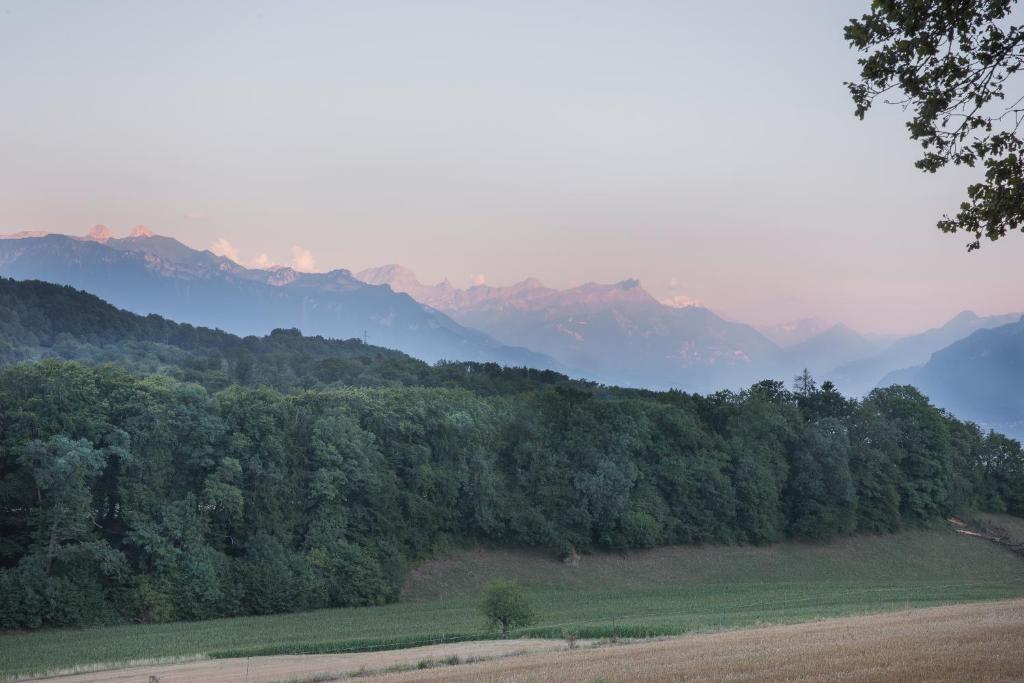 Paesaggio naturale nelle vicinanze dell'hotel