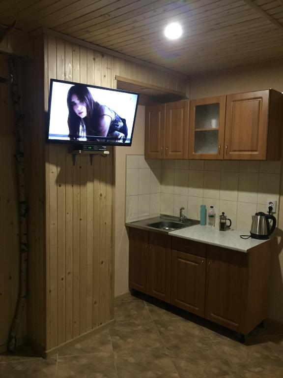 Kuchyň nebo kuchyňský kout v ubytování Hotel Restaurant Vizit