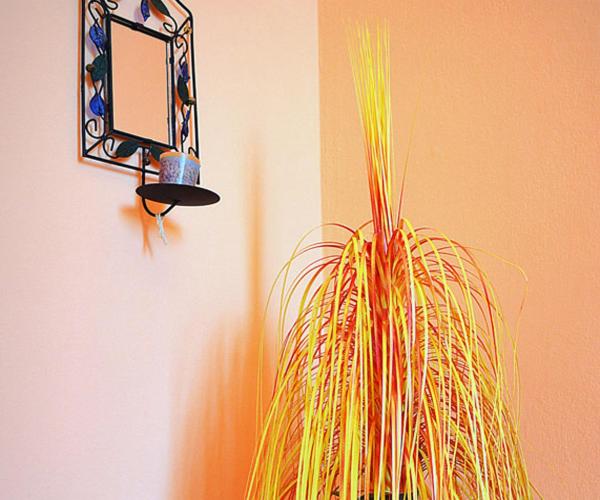 Fotografie z fotogalerie ubytování B&B TascaPachino v destinaci Pachino