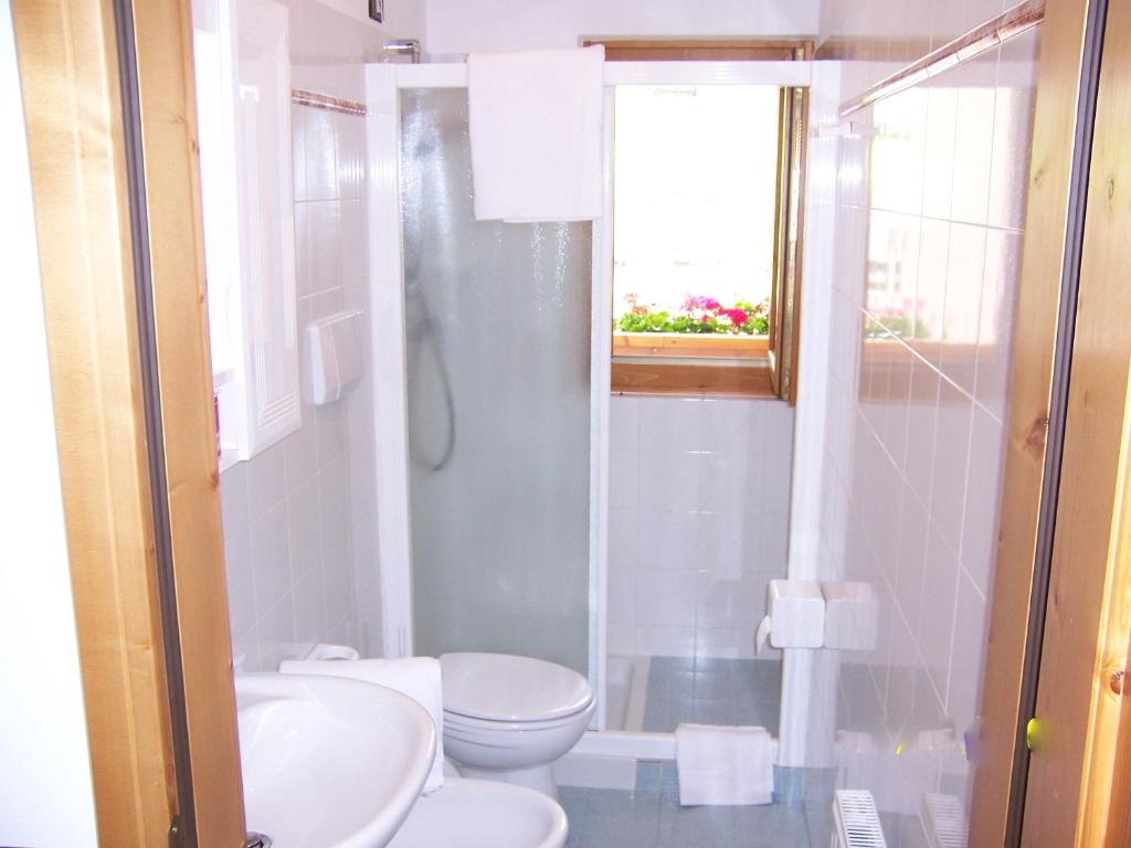 Koupelna v ubytování Alpen Hotel Rabbi