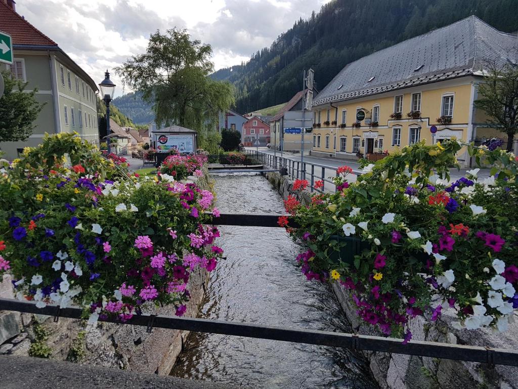 Príroda v okolí apartmánu