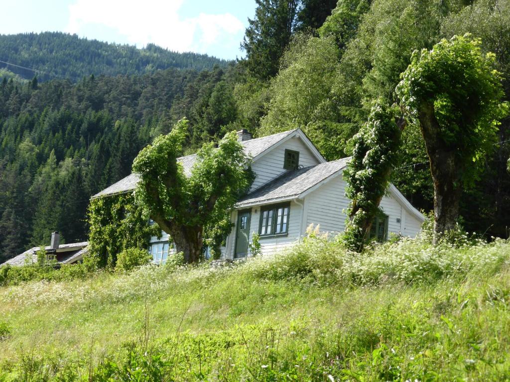 een wit huis midden op een heuvel bij Rongen gard in Bolstadøyri
