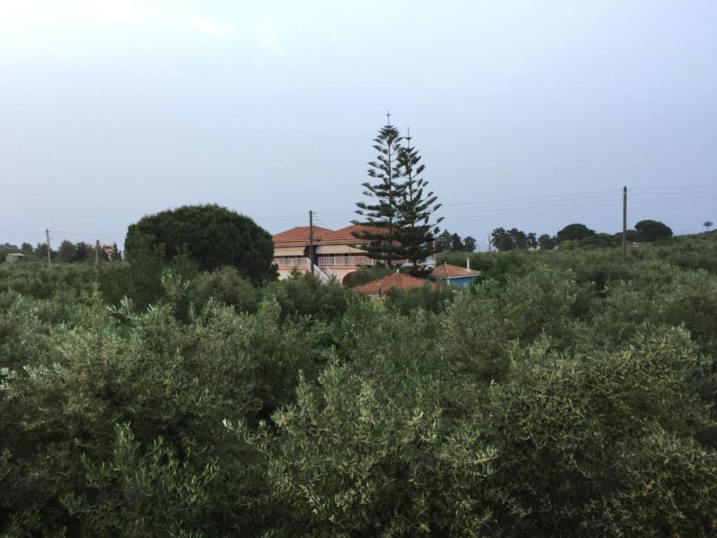 Príroda v okolí apartmánu
