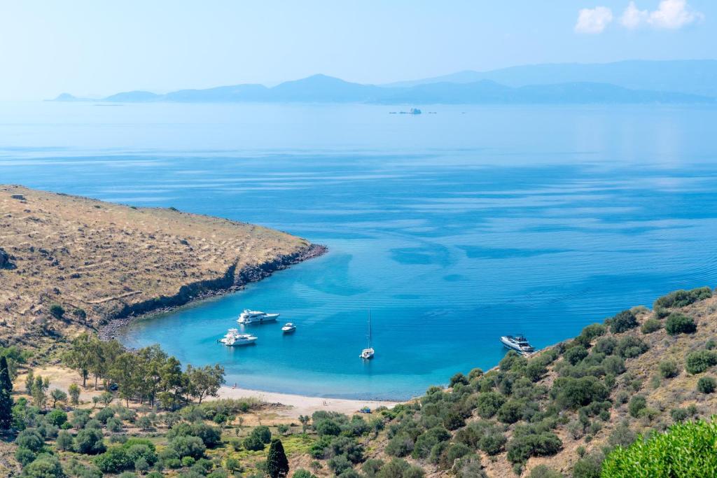 Thea Villas Aegina