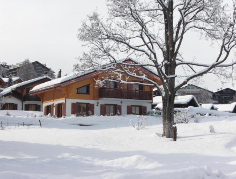 Chalet Griffon v zimě