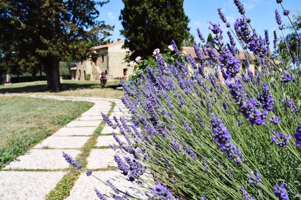 Zahrada ubytování Agriturismo L'Antica Quercia