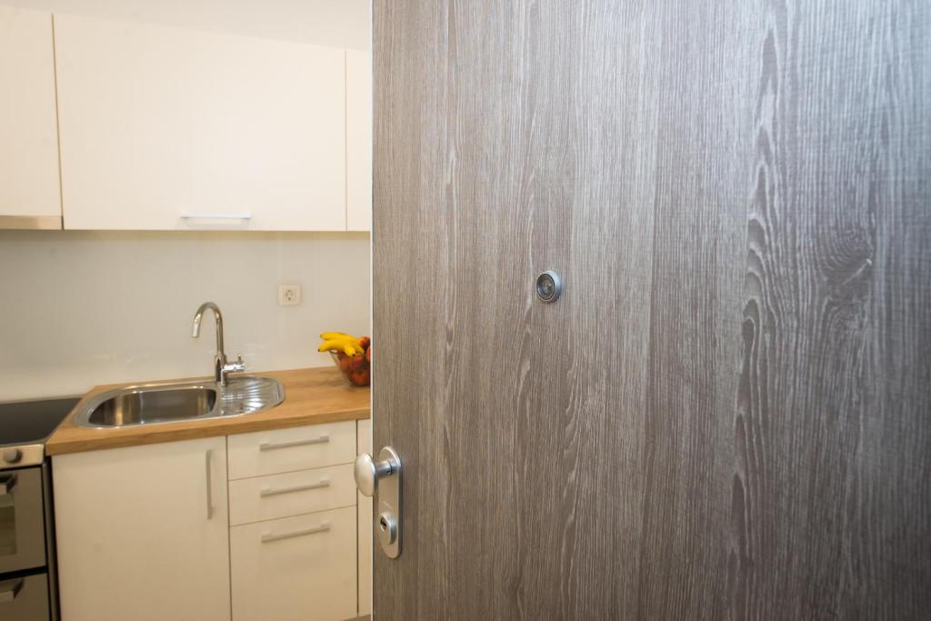 Kuchyňa alebo kuchynka v ubytovaní Apartment Spartion