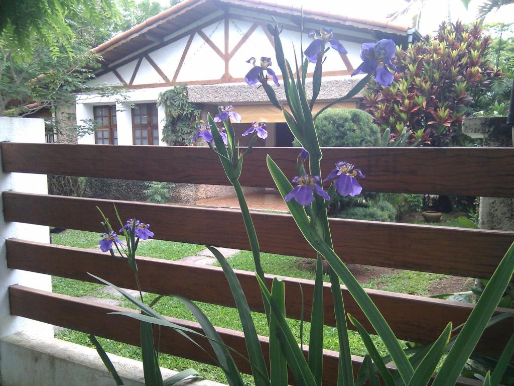  Homestay SP Zona Sul Suite