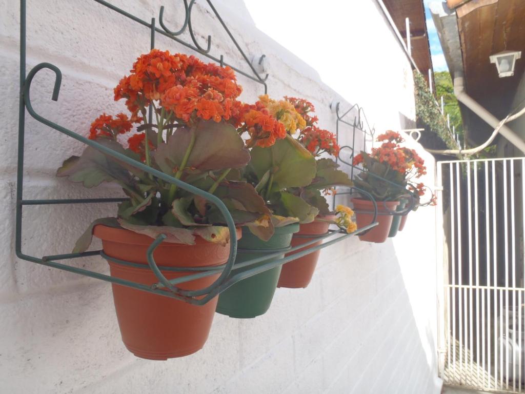  Homestay SP Zona Sul Suite