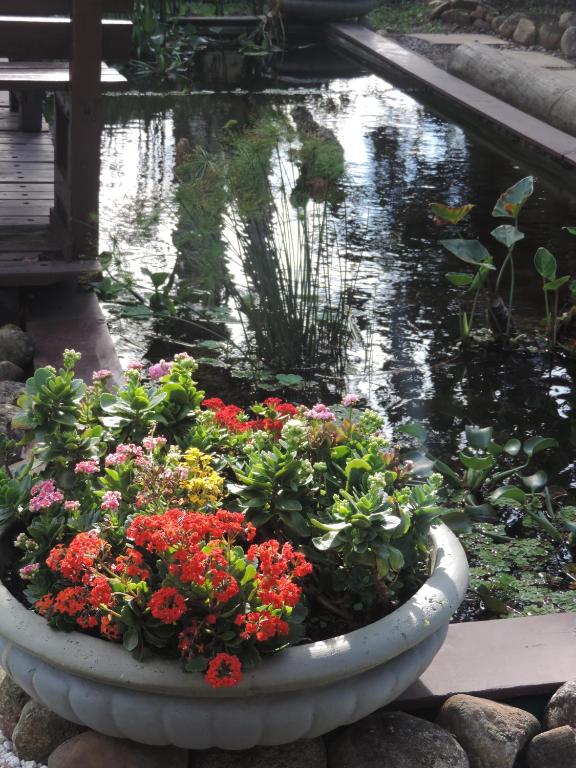  Refúgio do Corsário