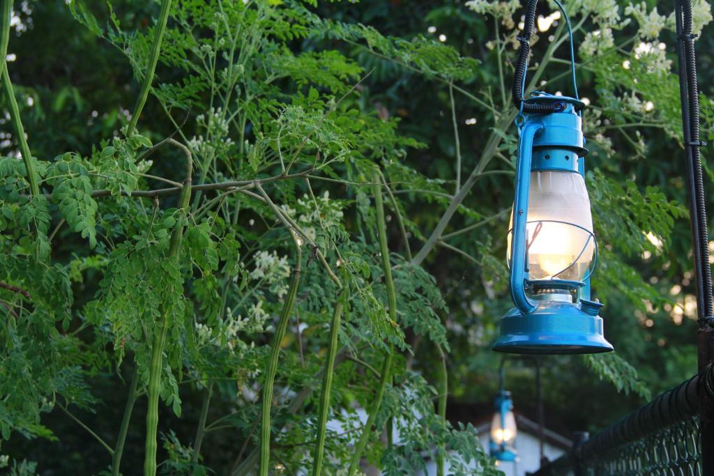 Moon Light Guest House - 5