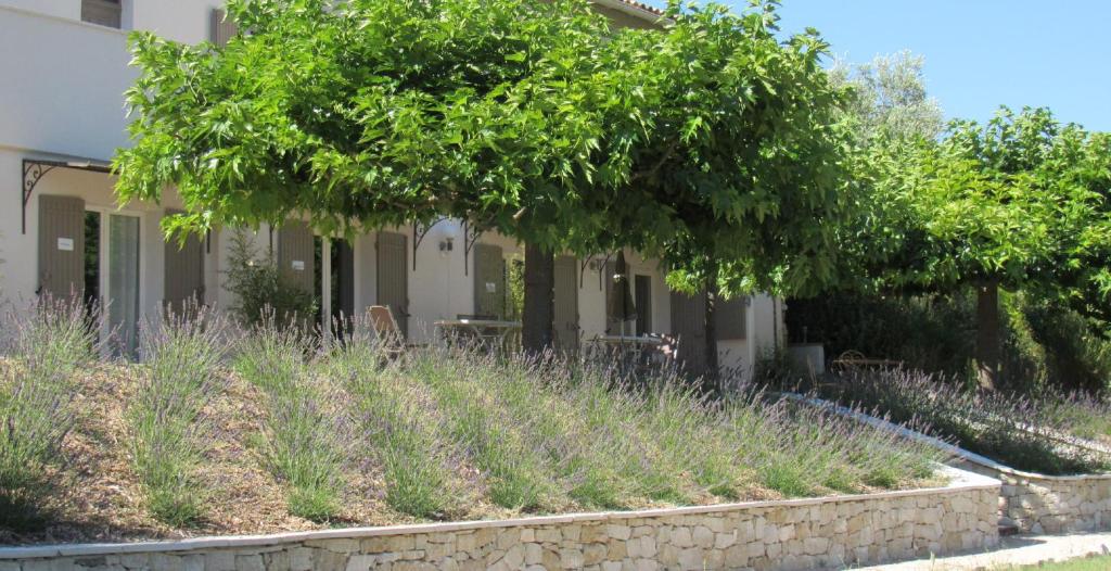 um jardim com relva alta e árvores em frente a uma casa em Résidence de gîtes La Sidoine du Mont-Ventoux em Crillon-le-Brave