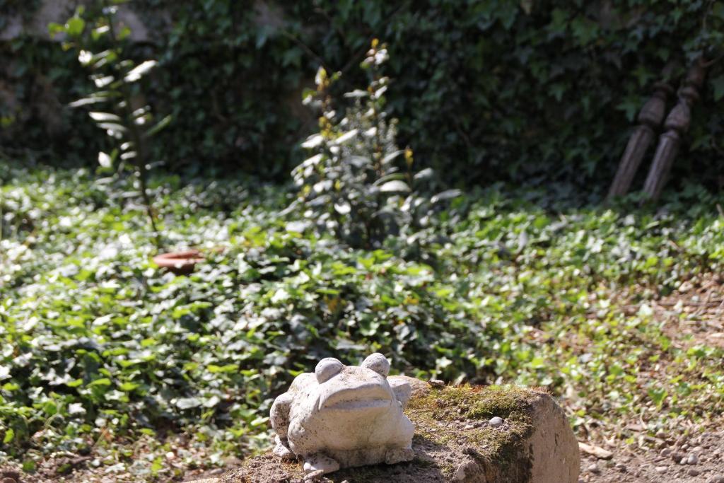 Domácí mazlíčci ubytovaní s hosty v ubytování Les Pascals