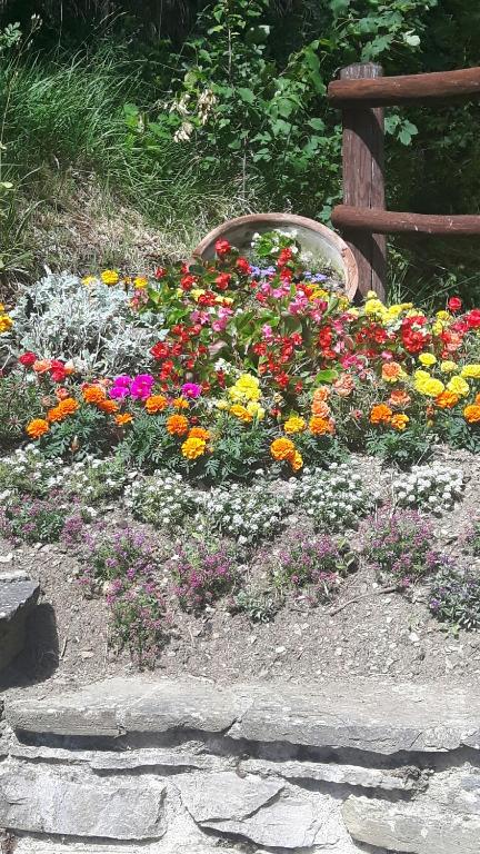 Vonkajšia záhrada v ubytovaní B&B Borgo Valagnesi casa Annarita