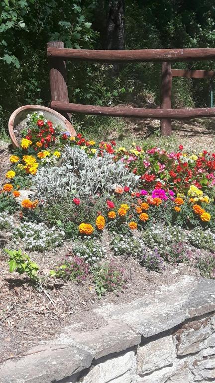 Vonkajšia záhrada v ubytovaní B&B Borgo Valagnesi casa Annarita