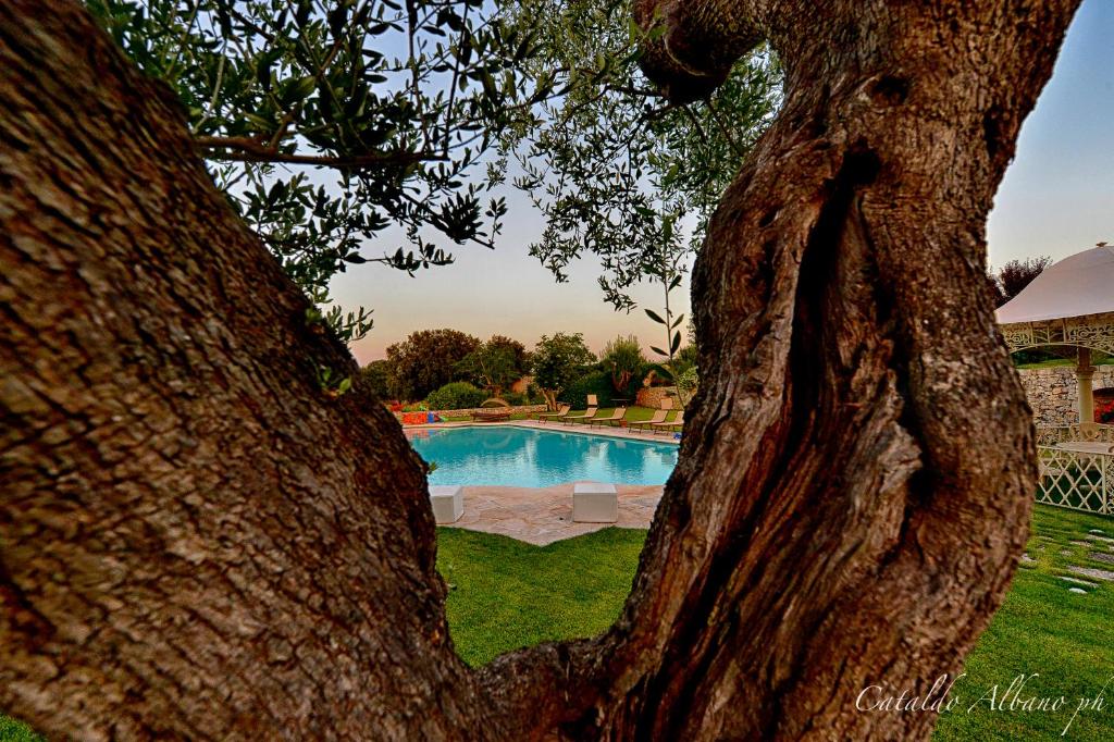 The swimming pool at or close to Masseria Luco