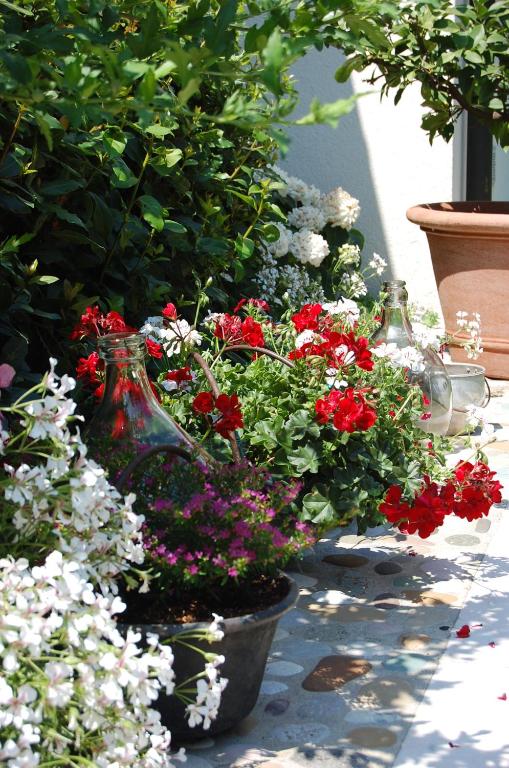 A garden outside B&B Santa Fosca