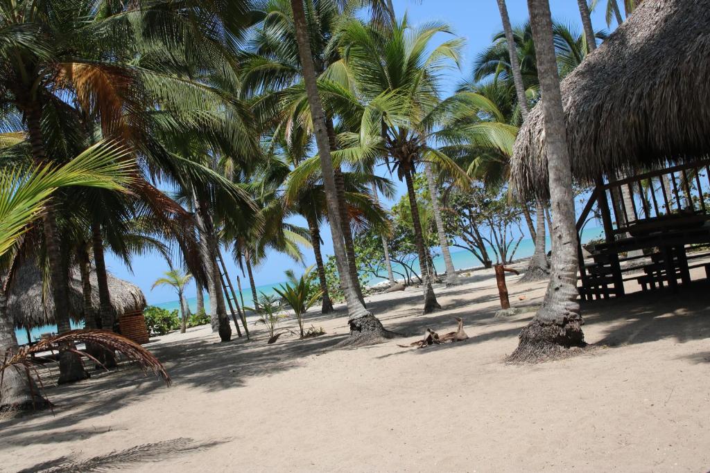 un grupo de palmeras en una playa de arena en Cabanas Las Estrellas, en Palomino