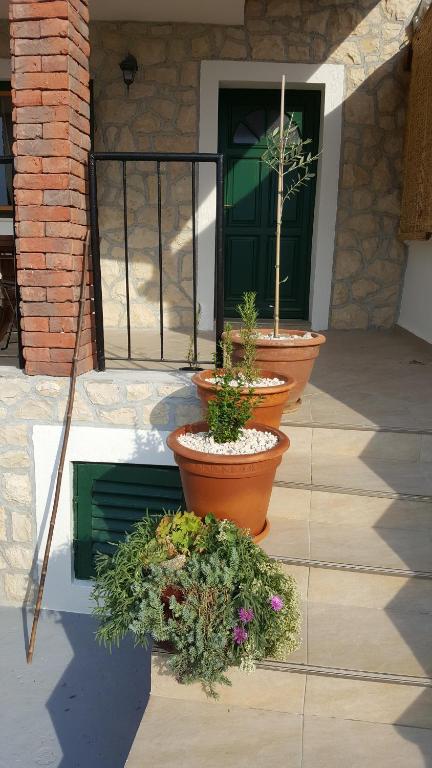 Zahrada ubytování Apartment Cernesa