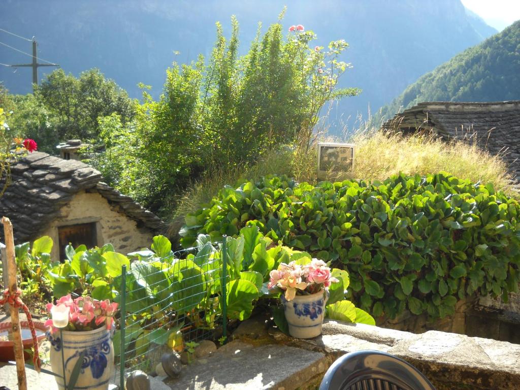 Nespecifikovaný výhled na hory nebo výhled na hory při pohledu z bed and breakfast