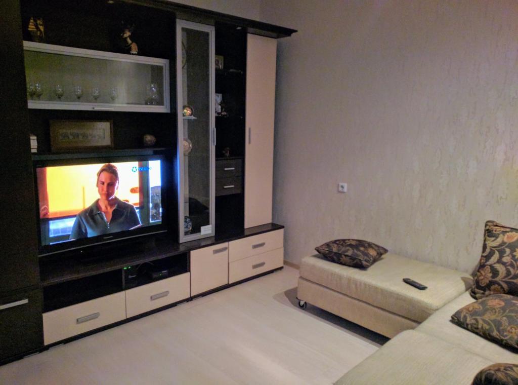 Телевизор и/или развлекательный центр в Apartment on Lomonosova 29
