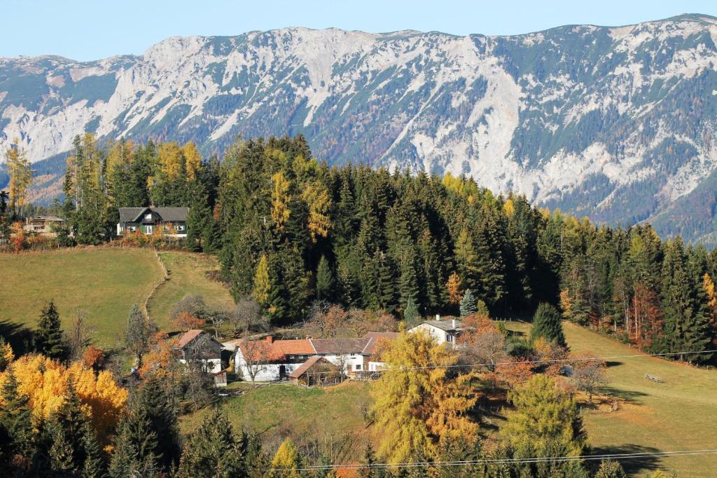 パイエルバッハにあるFerienwohnung Familie Holzerの山を背景にした丘の上の家