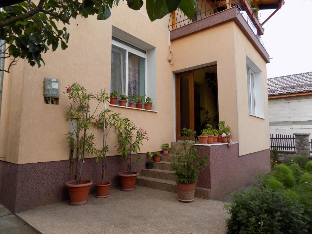 a house with a bunch of potted plants on the stairs at Casa Teo in Hunedoara